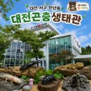 반딧불이유치원 | 방학 아이와 가볼 만한 곳｜한밭수목원 어린이 물놀이장 옆 대전곤충생태관, 우파루파·반딧불이 체험 후기