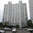 강남5길(정하동) 네이버블로그