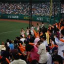 충무 합기도 이미지