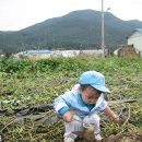 꿈을여는어린이집 이미지