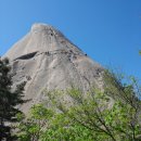 비둘기길 이미지