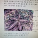 [더 쉬운 믿을교리 해설 - 아는 만큼 보인다] 233. 기도의 길 ② (「가톨릭교회 교리서」 2673~2682항) 이미지
