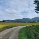 광장91호 이미지