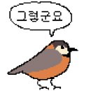 신짜오삼척베트남쌀국수