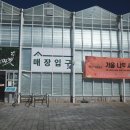 국화정원 | 순천만정원 옆 가든마켓 방문 후기 아스타 국화