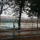 송전보리밥 이미지