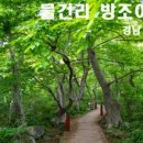 르뱅스타베이커리;독일빵집 이미지