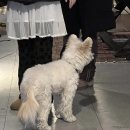 지에스(GS)25 망원하늘점 이미지