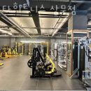 몸스타휘트니스 이미지