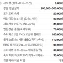 더퍼니서프 이미지