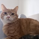 고려아파트 | 대구 아파트 걸레받이 실리콘 재시공 후기(feat. 고려코킹)