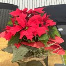 사평대로20길 7 이미지