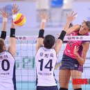 흥국생명 이미지