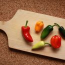 집밥&김밥 이미지