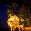 옐로우씨 이미지