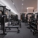 팰리스짐 이미지