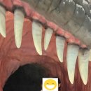 고성공룡박물관 1층 화장실 네이버블로그
