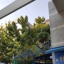 한결같은주유소 이미지