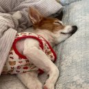 아요하우스 이미지