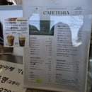 진해대로-1 | 진해 가볼만한곳 진해보타닉뮤지엄 솔직후기｜진해벚꽃 시즌 추천 코스 🌸