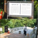 곰말어린이공원 | 올림픽 공원 나 홀로 나무 피크닉 장소 주차 정보