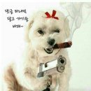 대장 이미지