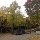 숲속의야영장 이미지