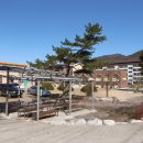 전주대성초등학교 이미지