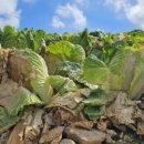 상생한의원 이미지