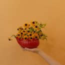 일상 속 생활 꽃꽂이 이미지