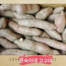 연화방제과 이미지