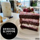 신백초등학교 | 충북 제천여행 가볼만한곳 제천카페 신백동 디저트맛집 동그라미카페