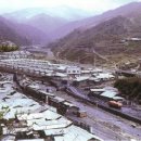 갈래초등학교 이미지