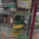 짱뽑기