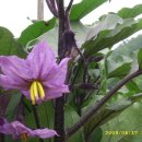 문경문화원 이미지