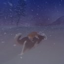 미로 2애견 이미지