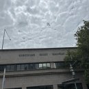 750 하우스 | 시드니 샹그릴라 호텔 호라이즌 클럽 오페라 하우스 뷰 후기