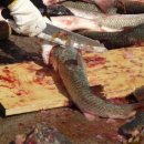 호령마을회관 이미지