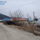 하안미리(하)