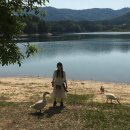 정원오리 | 낭만 넘치는 명상정원 피크닉 후기, 오리 사진명소, 꿀팁, 음식 추천까지