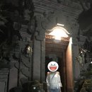 오로라 하우스(Aurora house) 이미지