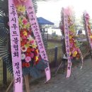 대한우드볼협회
