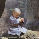 고요한꽃뜰 이미지