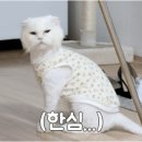 감성제과