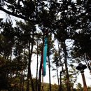 대륜동 법환포구 이미지