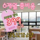 마리애견미용실 이미지