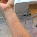 종달해녀의집 | [8월의 제주 3박 4일] 2일차, 바투모루-하도해수욕장-신천올레해수풀장-지코바성산점-해녀의집-공회당