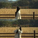 블루짱뚱어 | [순천] 12월 겨울 순천만국가정원 순천만습지 스카이큐브 타고 왕복 다녀오기