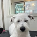 두루몽실 이미지