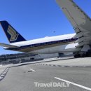 ㈜신한여행사 이미지